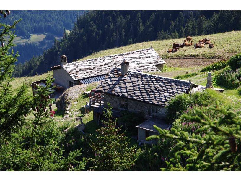 Les Edelweiss : Nuit en Refuge d’Altitude (Cuchet) centre-edelweiss-vacance_35522850-.JPG