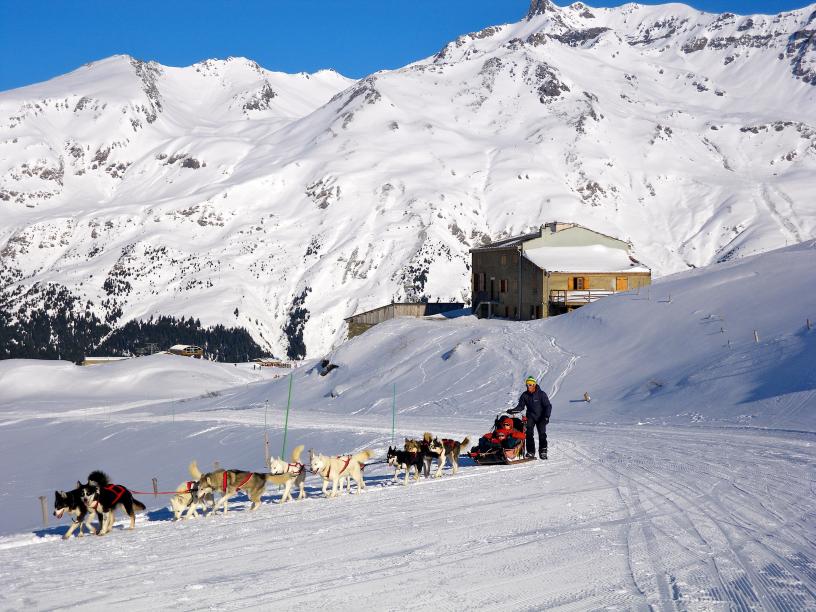 Centre Les Edelweiss_Val Cenis Lanslebourg_Chiens de traineaux