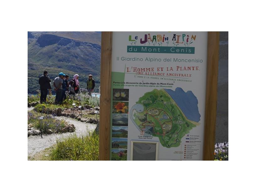 Les Edelweiss : Jardin Alpin du Mont-Cenis centre-edelweiss-vacance_95097115-.jpg