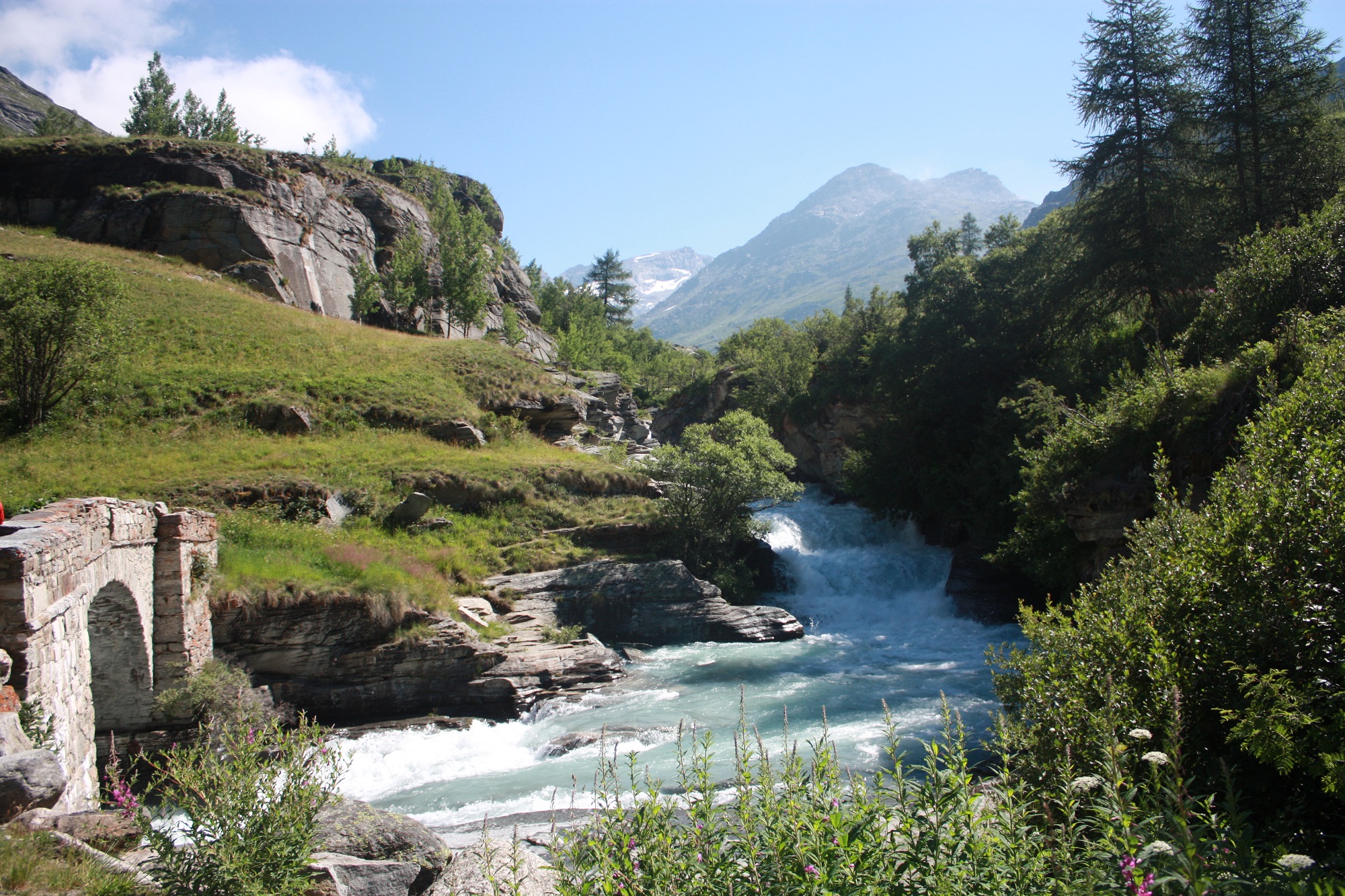 Un ressourcement garantie aux Edelweiss cet été