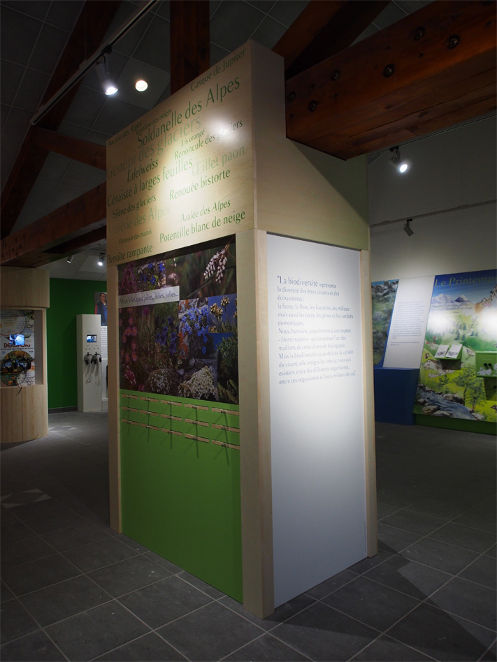 Les Edelweiss : Maison de la Vanoise centre-edelweiss-vacance_00419981-.jpg