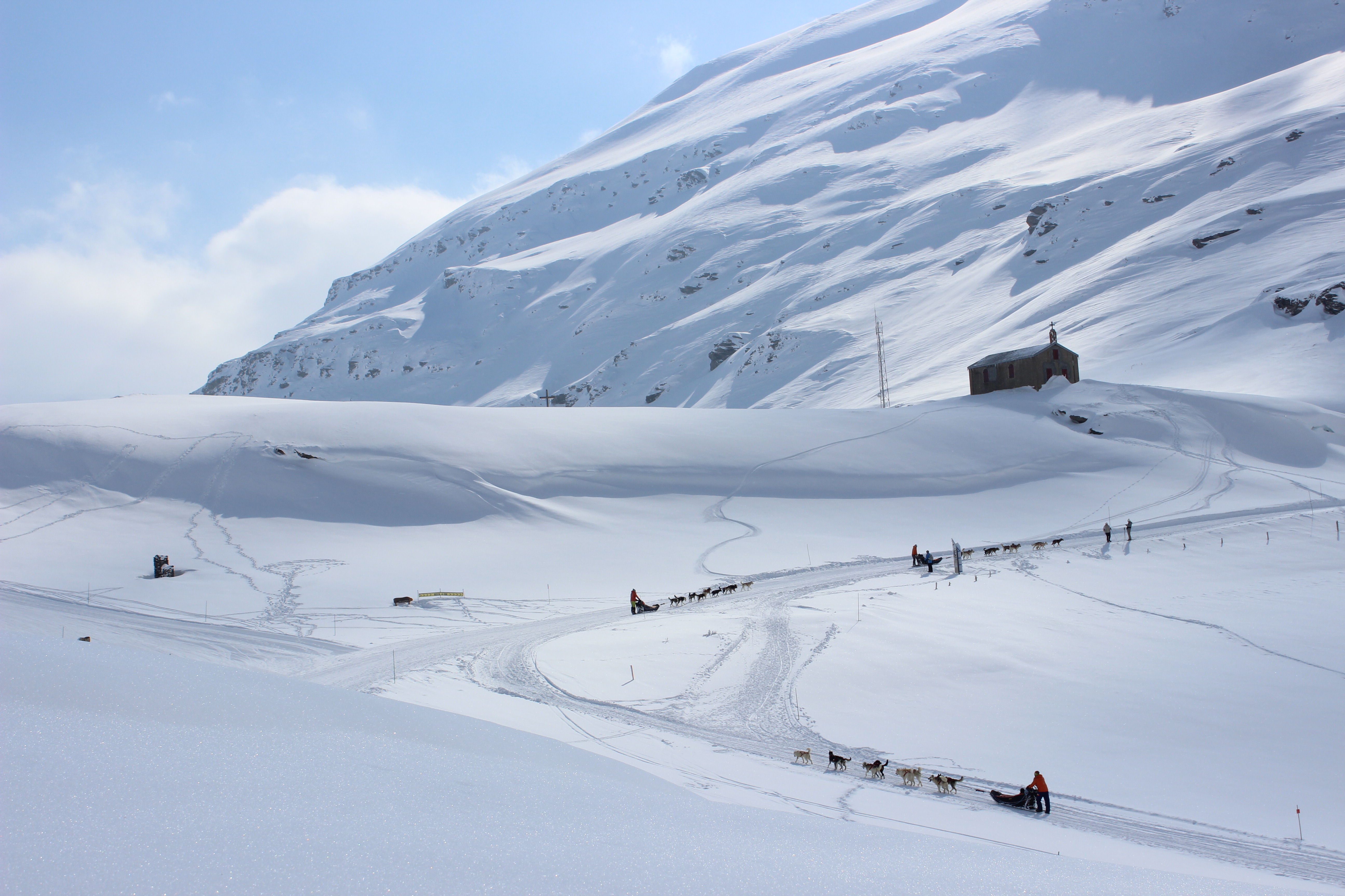 La Grande Odyssée Savoie Mont-Blanc (17ème édition)