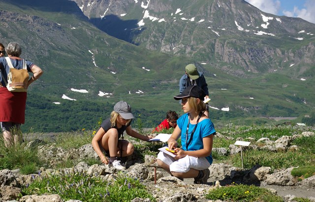 Les Edelweiss : Jardin Alpin du Mont-Cenis centre-edelweiss-vacance_18830442-.jpg