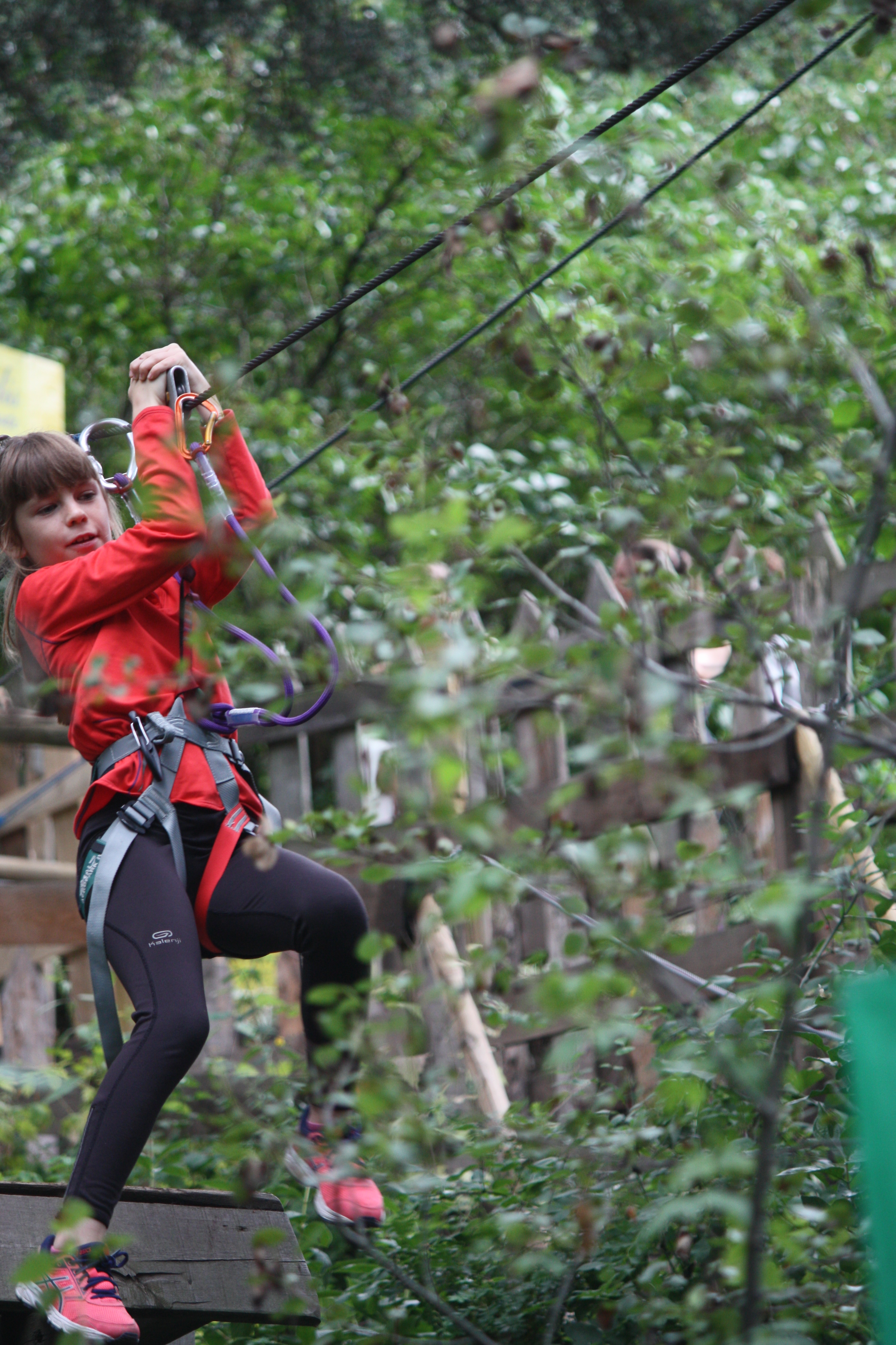 Les Edelweiss : Accrobranche centre-edelweiss-vacance_21824859-.JPG