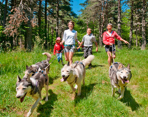 Les Edelweiss : Cani Rando centre-edelweiss-vacance_26796292-.jpg