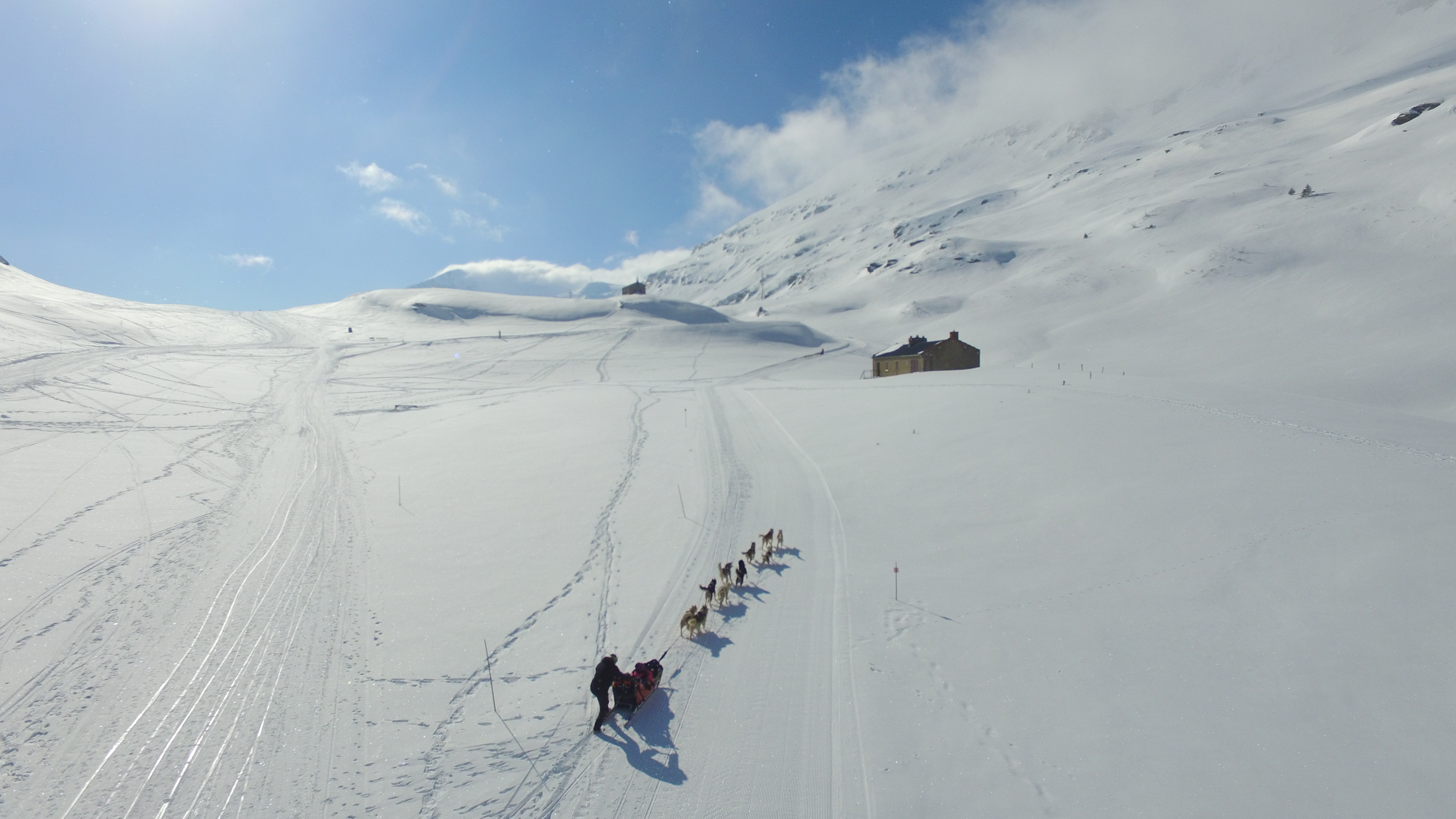 Les Edelweiss : Chiens de traineaux centre-edelweiss-vacance_34144558-.JPG