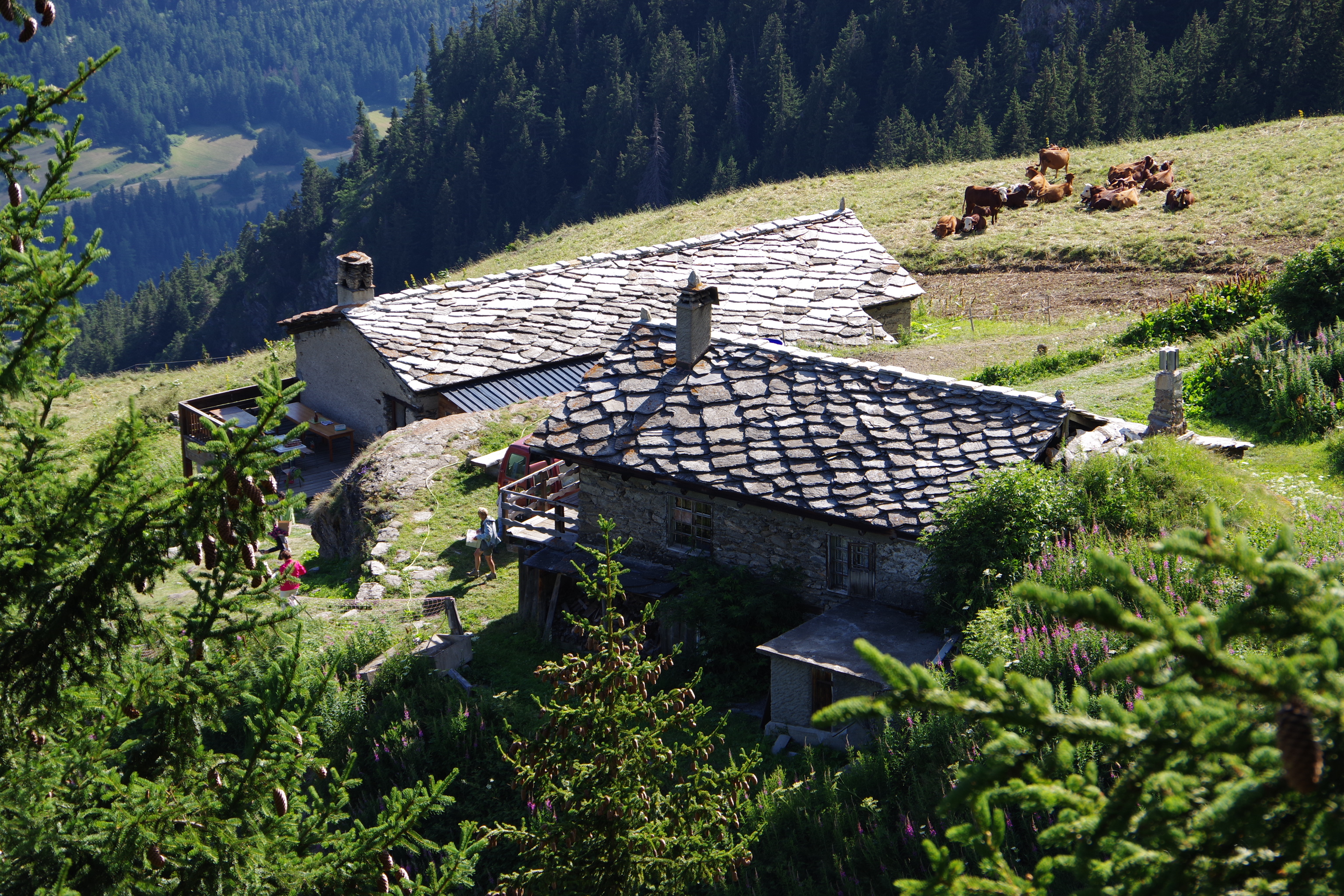 Les Edelweiss : Nuit en Refuge d’Altitude (Cuchet) centre-edelweiss-vacance_35522850-.JPG