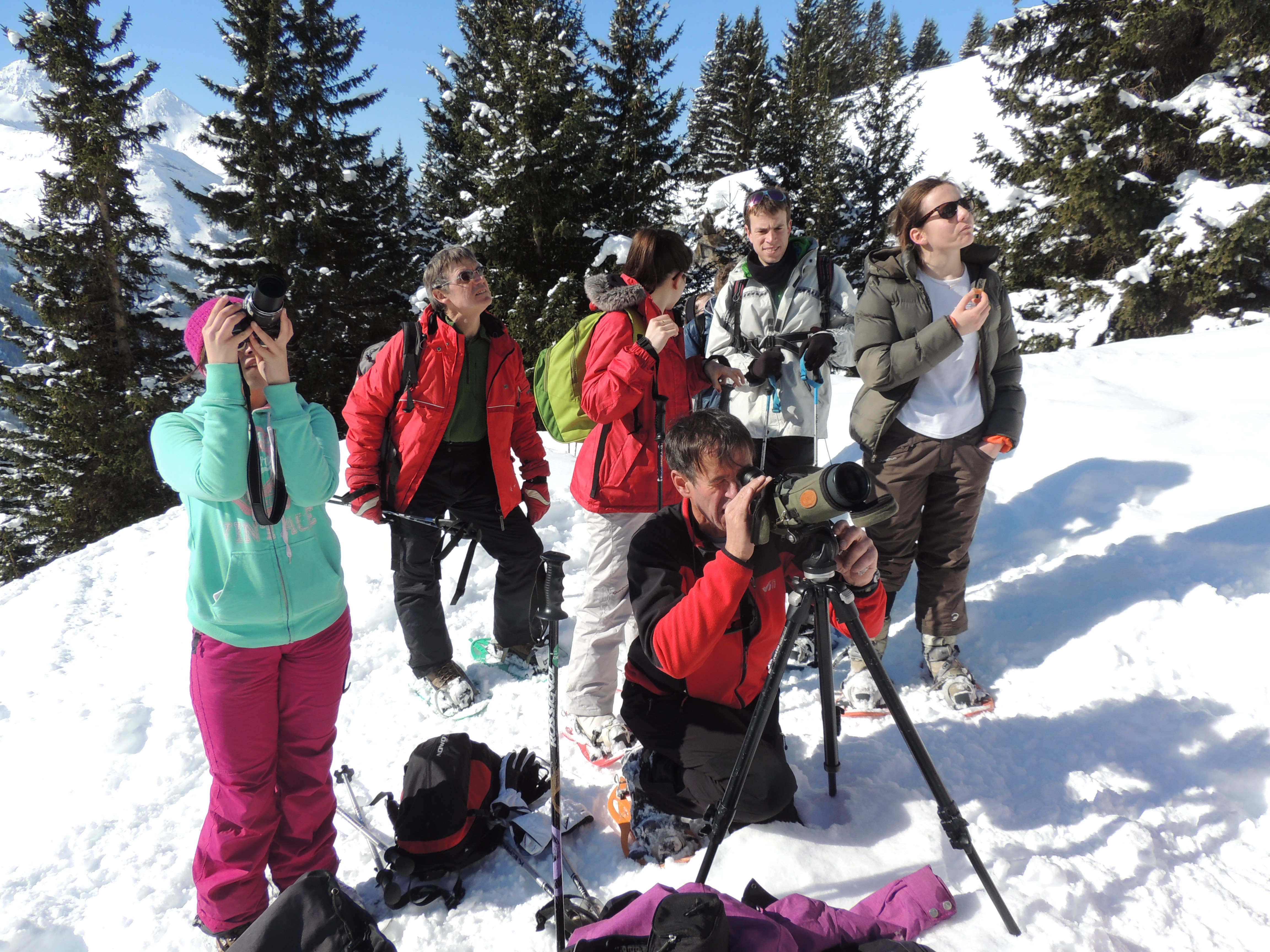 Les Edelweiss : Randonnée raquettes 
