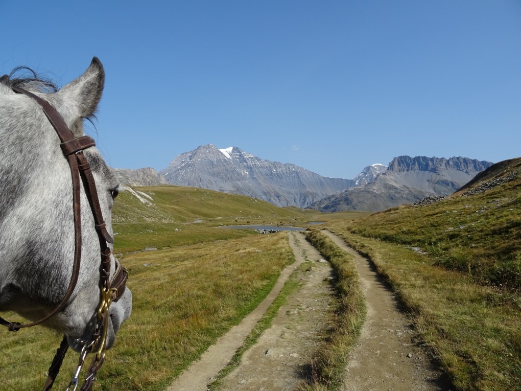 Les Edelweiss : Equitation centre-edelweiss-vacance_44838569-.jpg