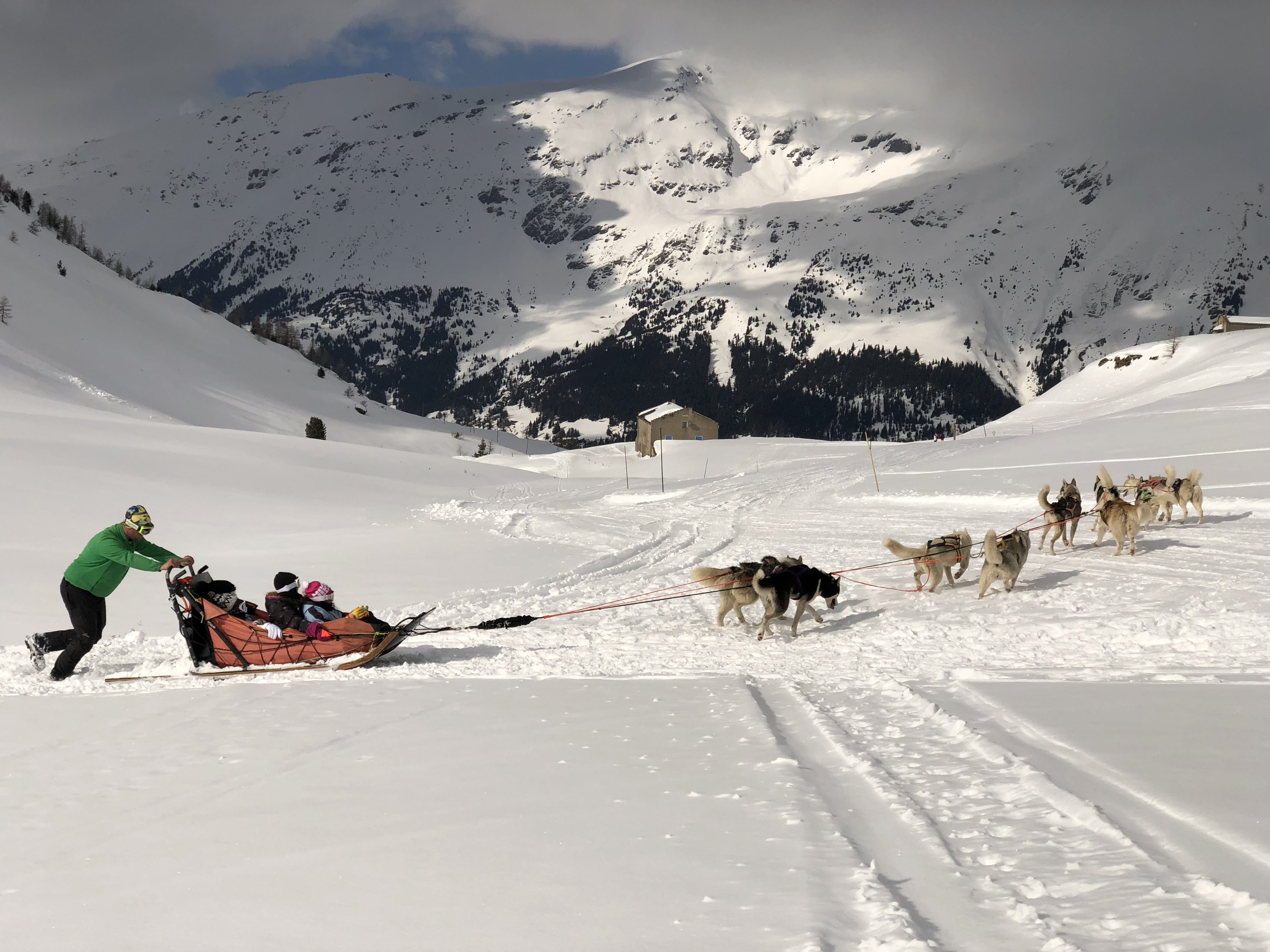 Les Edelweiss : Chiens de traineaux centre-edelweiss-vacance_50384234-.JPG