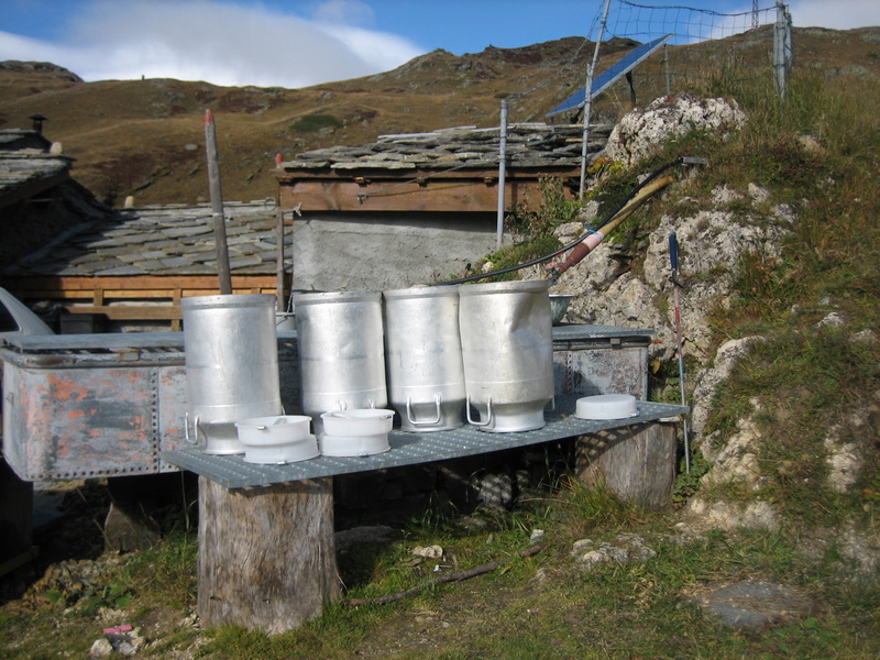 Les Edelweiss : Rencontre du monde agricole centre-edelweiss-vacance_62703486-.JPG