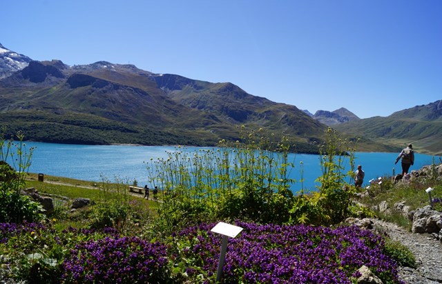 Les Edelweiss : Jardin Alpin du Mont-Cenis centre-edelweiss-vacance_74617138-.jpg