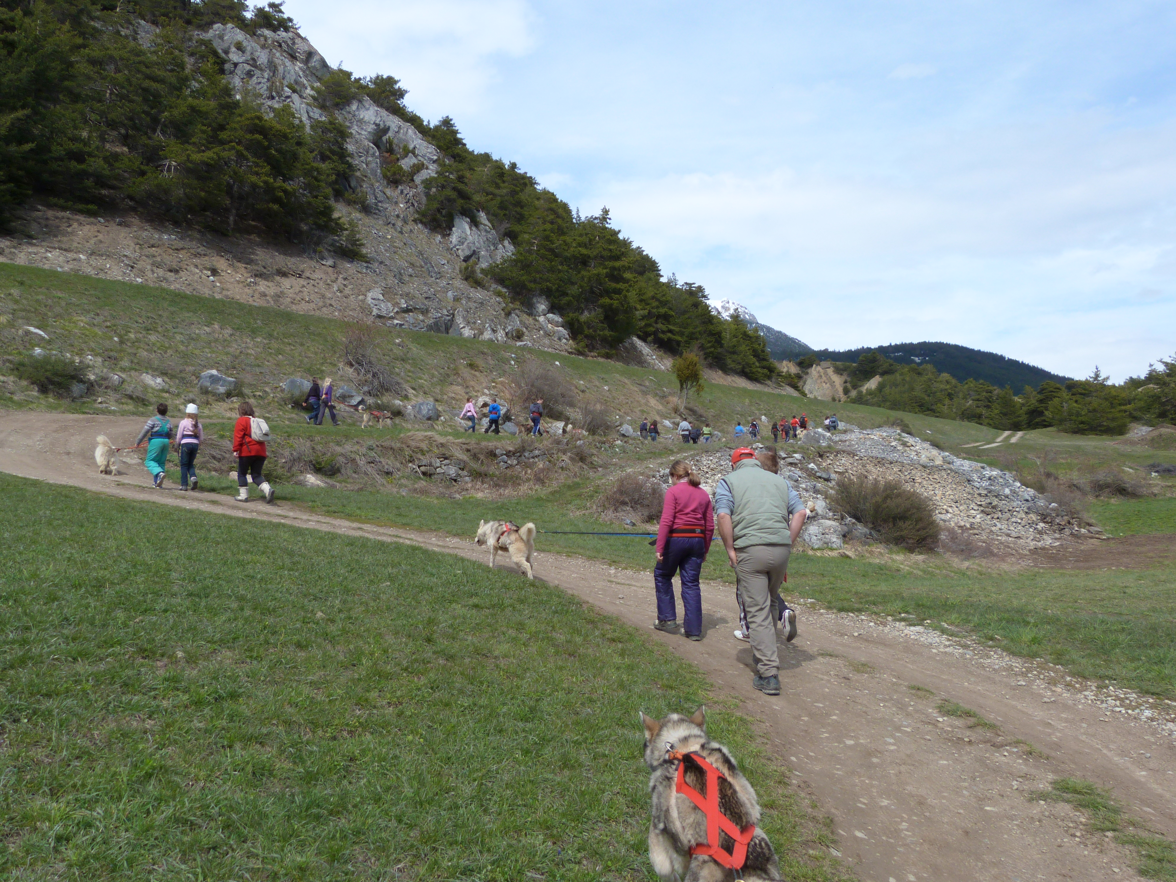 Les Edelweiss : Cani Rando centre-edelweiss-vacance_77527518-.JPG