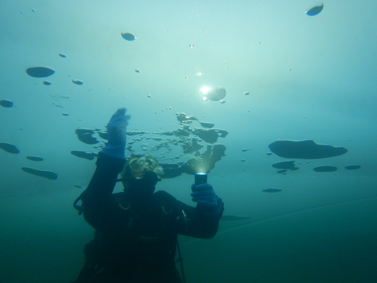 Les Edelweiss : Plongée sous glace 
