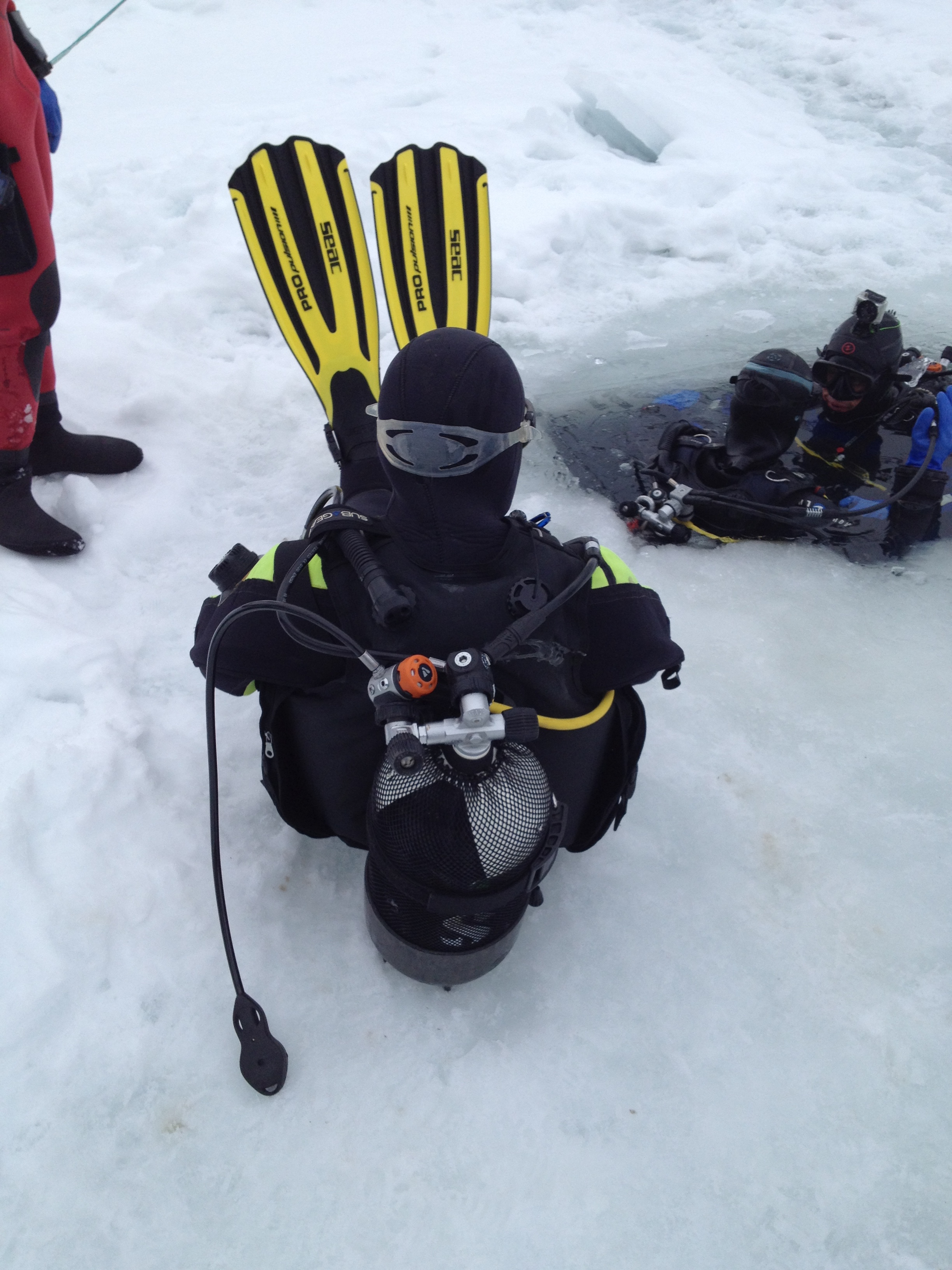 Les Edelweiss : Plongée sous glace 