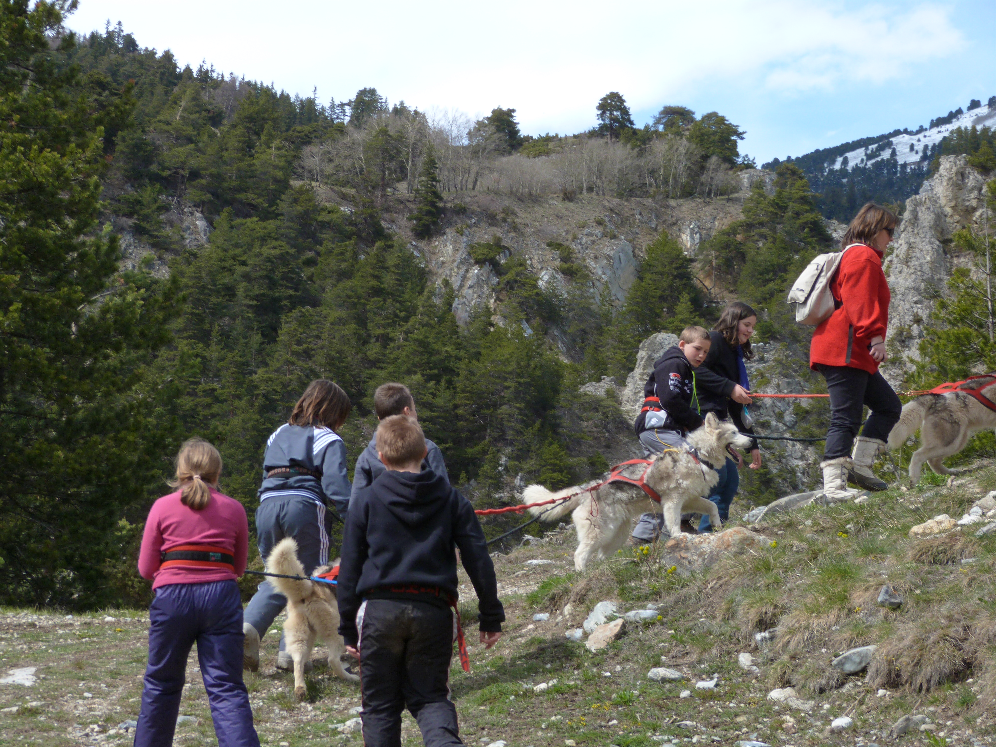 Les Edelweiss : Cani Rando centre-edelweiss-vacance_91855477-.JPG