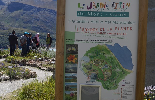 Les Edelweiss : Jardin Alpin du Mont-Cenis centre-edelweiss-vacance_95097115-.jpg